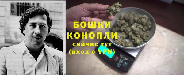 индика Рославль